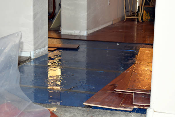 Professional Flood Damage Repair technician working in Martinsville, OH